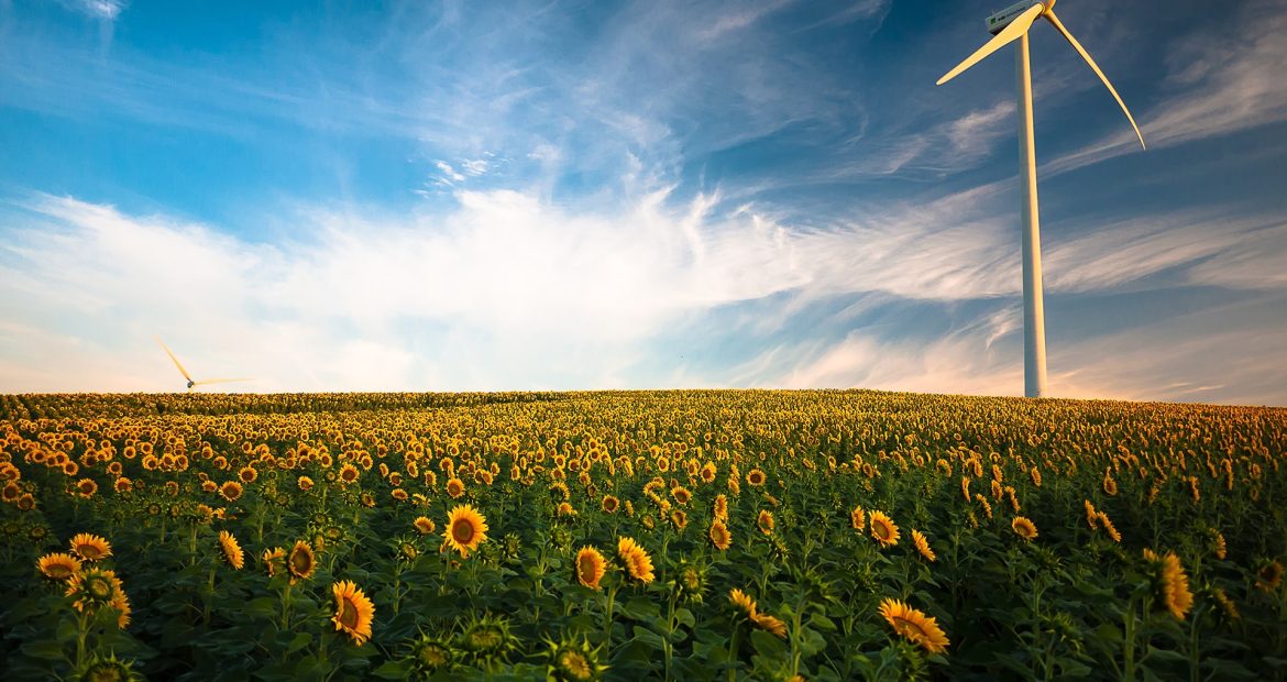 gustavo-quepon-pF_2lrjWiJE-unsplash gustavo-quepon-pF_2lrjWiJE-unsplash